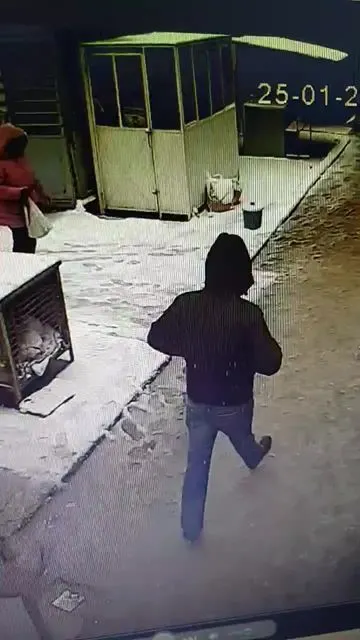 Noi IMAGINI cu bărbatul care a jefuit banca din Craiova. Poliţiştii nu l-au găsit nici acum - VIDEO