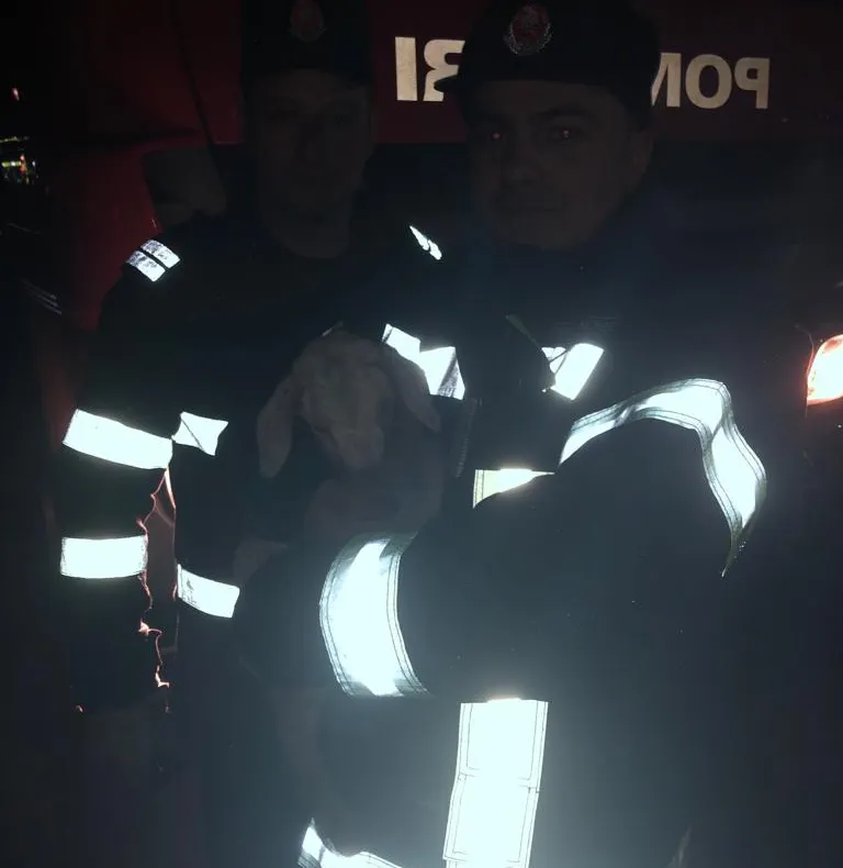 VIDEO. Un mielușel, salvat de pompierii doljeni dintr-un incendiu de vegetație uscată. Ard aproape șase hectare, lângă Calafat