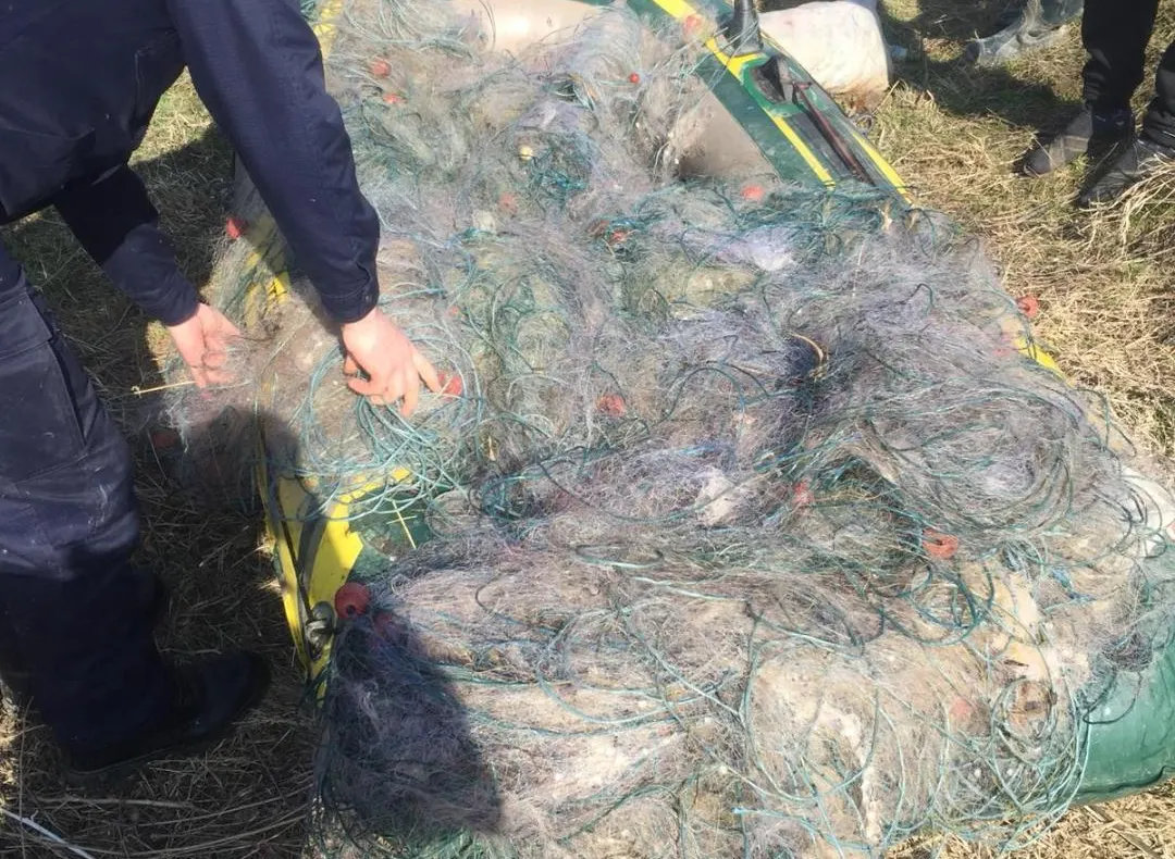 Doljeni cercetați pentru braconaj piscicol. Ce au găsit polițiștii în bazinul de la Cârna