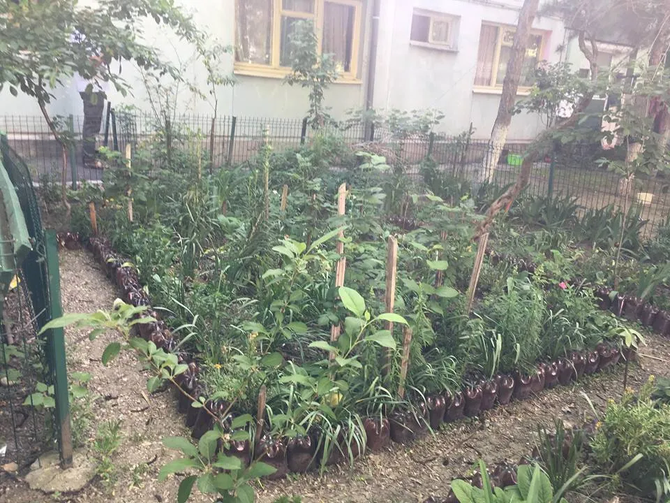 Cel mai îngrijit spațiu din fața blocului, premiat de autorități. Craiovenii pot trimite fotografii cu grădinile