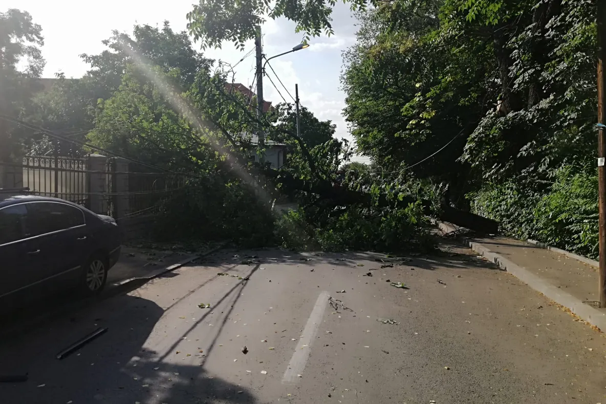 Circulația pe o stradă din Craiova, închisă din cauza unui copac doborât de vânt