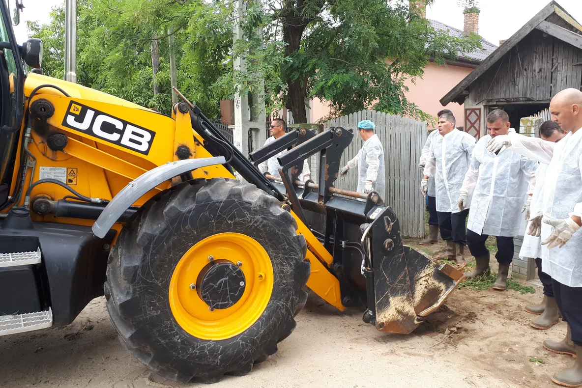 Măsură în forţă a DSVSA Dolj, într-un focar de pestă porcină africană. Toţi porcii dintr-un sat al comunei Teasc, ucişi - FOTO
