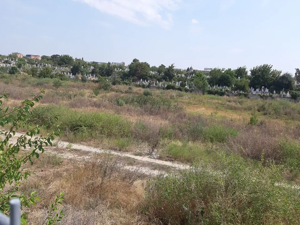 Parcul Cornițoiu din Craiova devine Dracula Park. Studiul de fezabilitate, finalizat