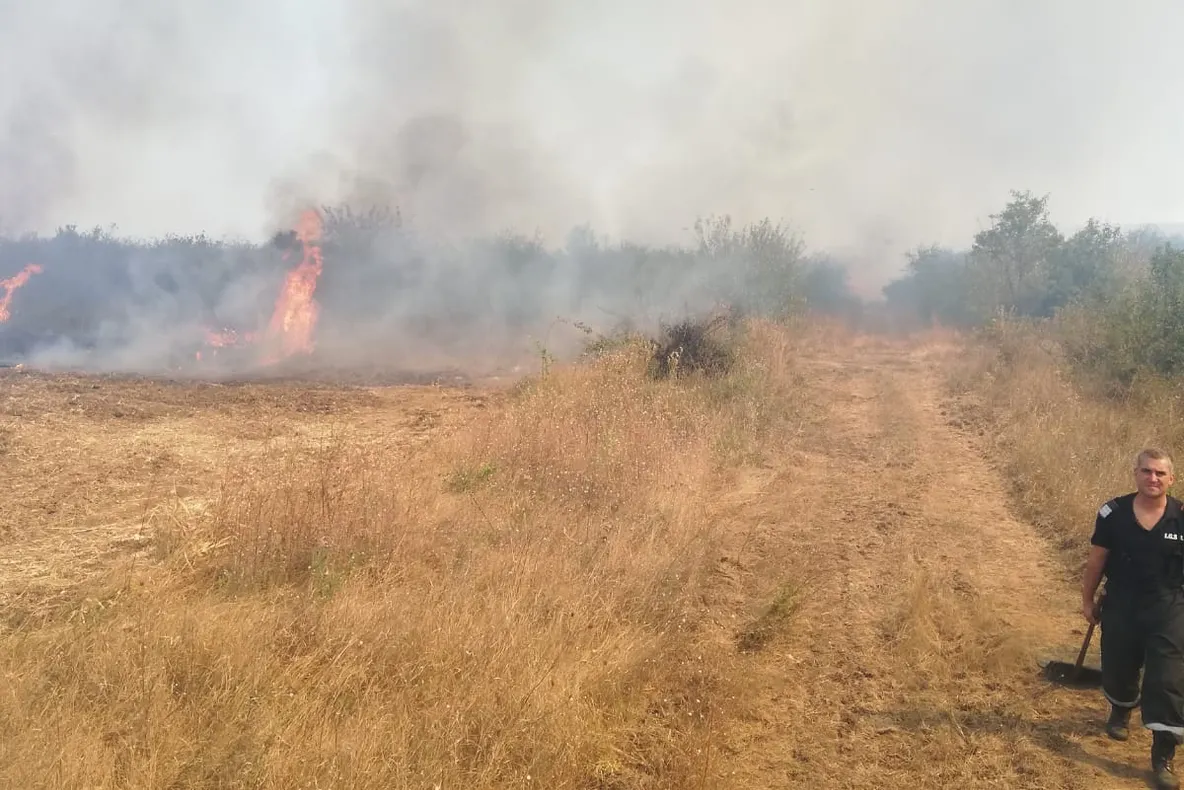 Sute de hectare de vegetație uscată au ars, în doar două zile, în județul Dolj-video