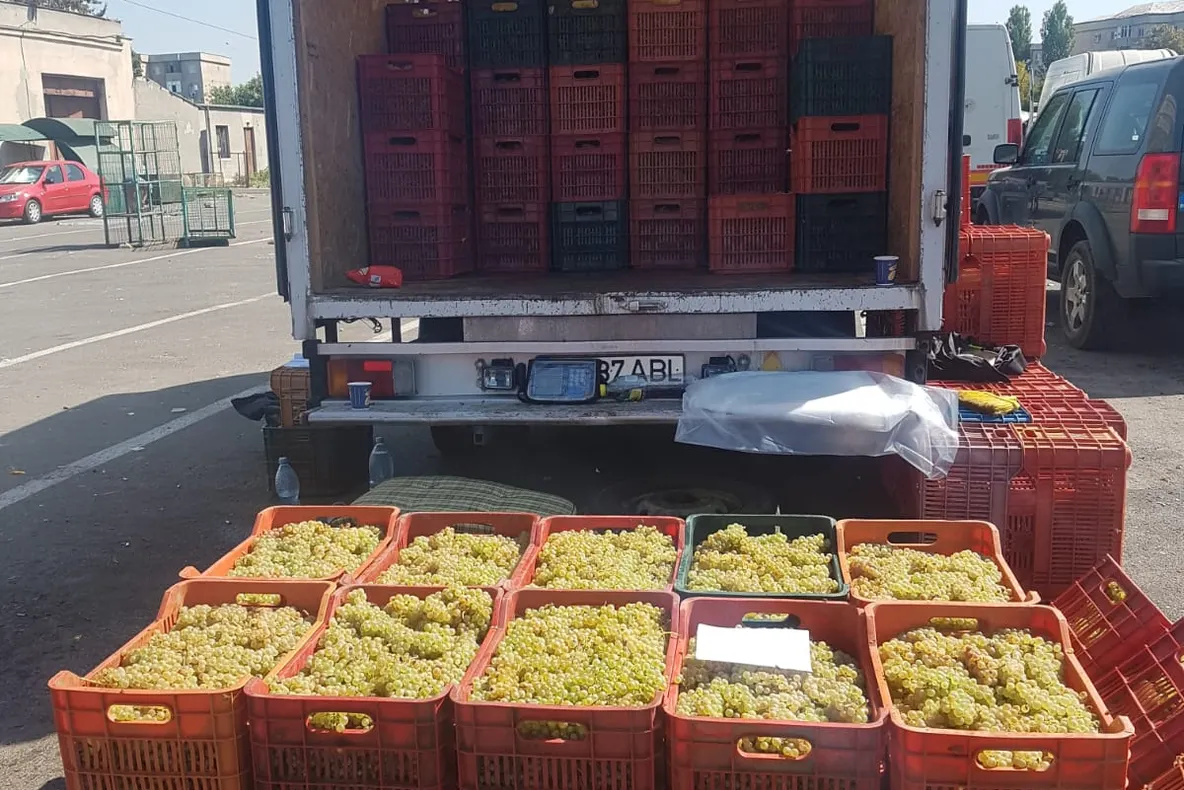 Amenzi pentru zeci de comercianți de legume și fructe. Tone de mărfuri confiscate