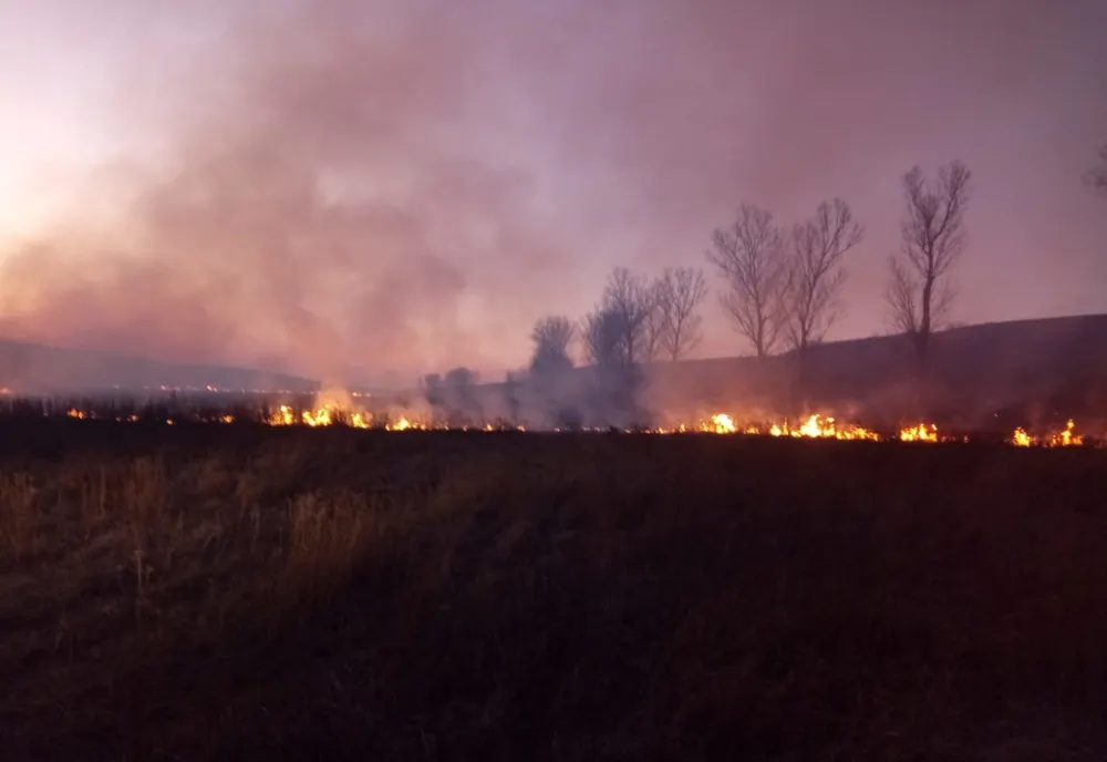 DEZASTRU. Ard câmpiile din județul Dolj
