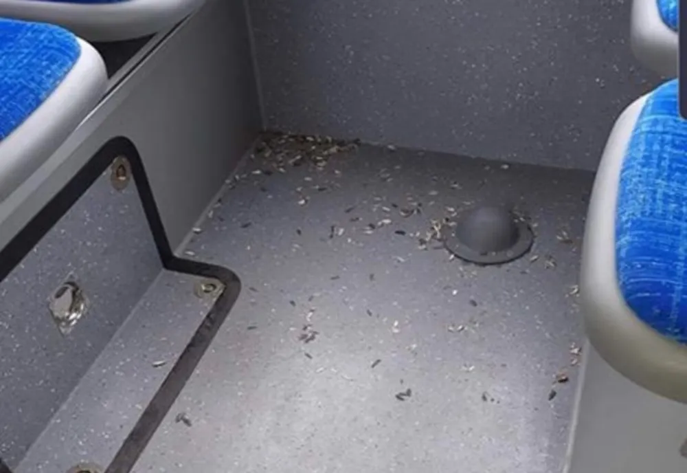 Călătorii RAT Craiova și-au pus amprenta asupra autobuzelor noi. Coji de semințe după primele două curse
