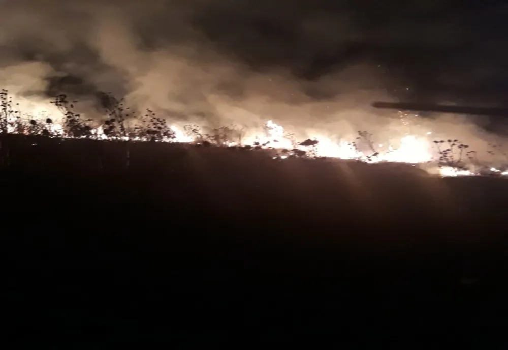 Lupta cu flăcările și cu inconștiența doljenilor. Sute de hectare de vegetație uscată mistuite de flăcări