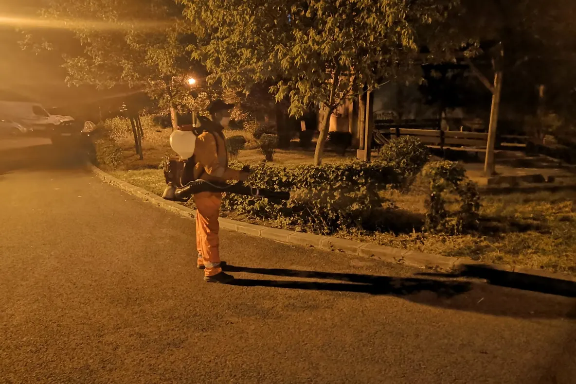 Se face dezinsecţie pe spaţiile verzi din Craiova