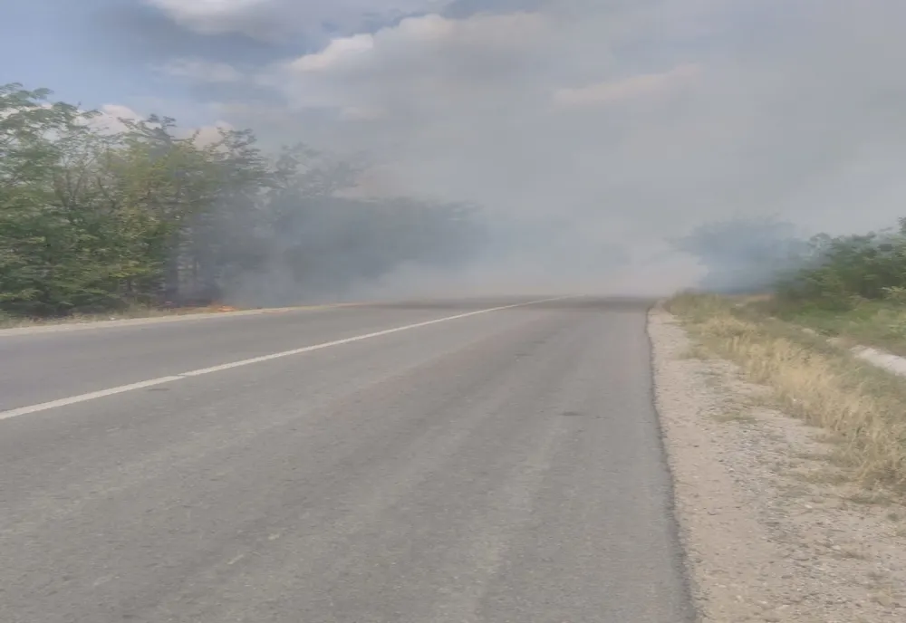 Un incendiu de vegetaţie uscată a dat peste cap traficul, pe un drum naţional din Dolj