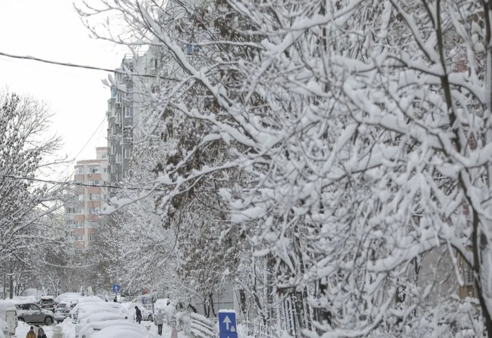 Două coduri galbene de ninsori, vânt și polei, valabile până luni, 1 februarie