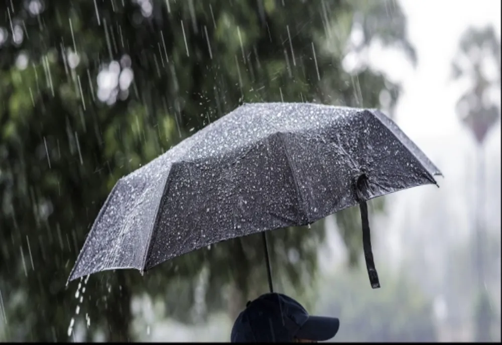 Temperaturi ridicate și ploi în ianuarie
