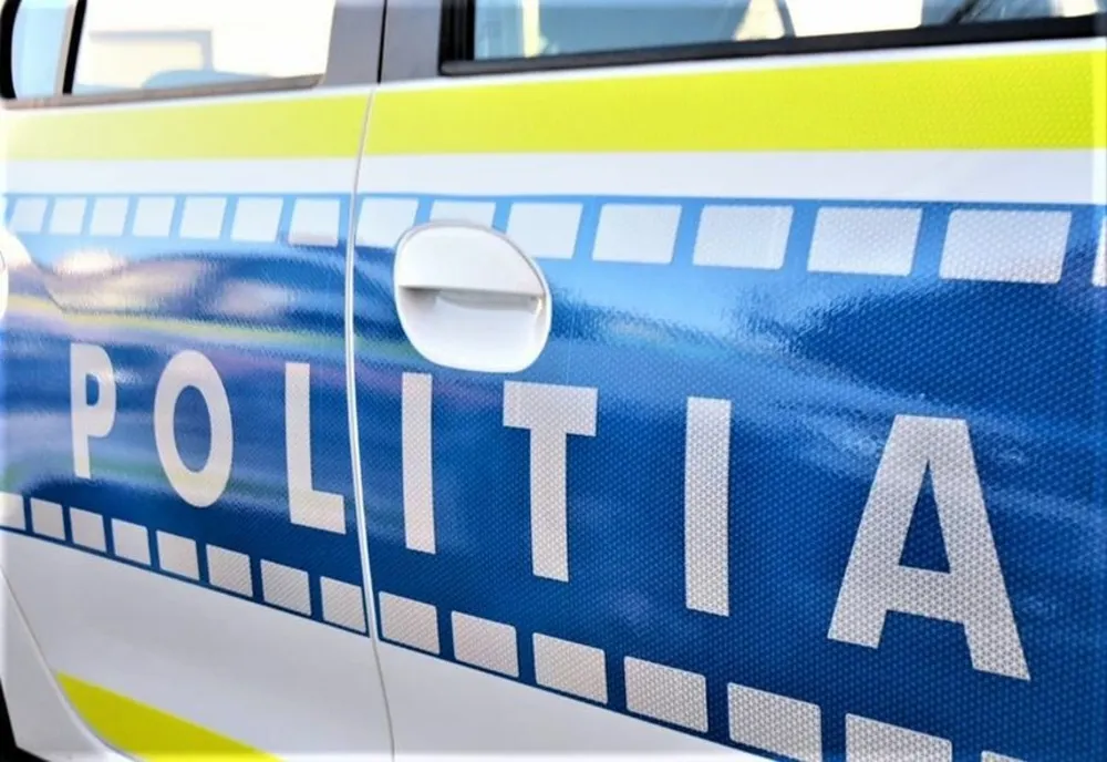Băut şi fără permis, a furat o autoutilitară şi a intrat cu ea într-un gard