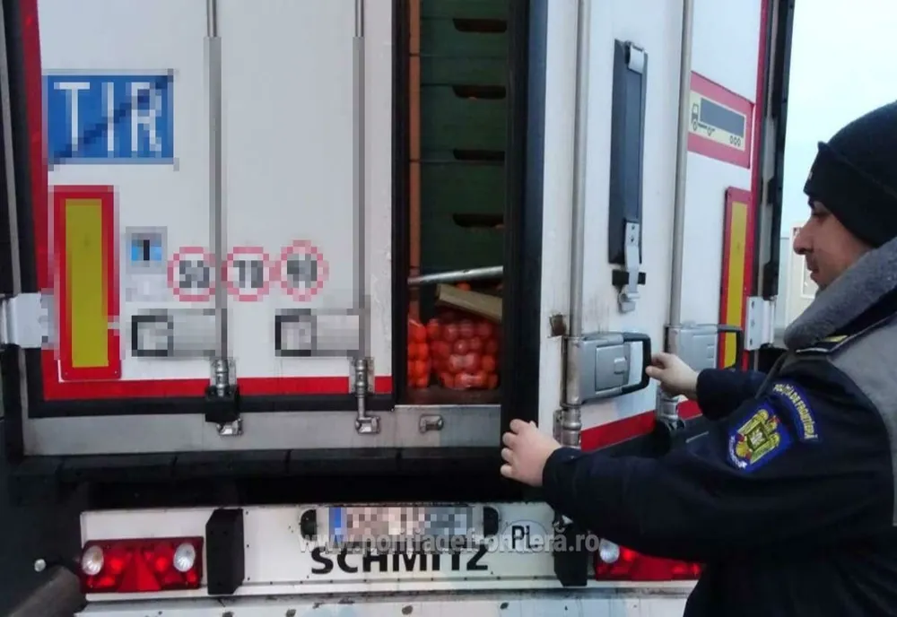 VIDEO. Cinci migranţi, prinşi la Calafat când încercau să intre în ţară ascunşi printre portocale