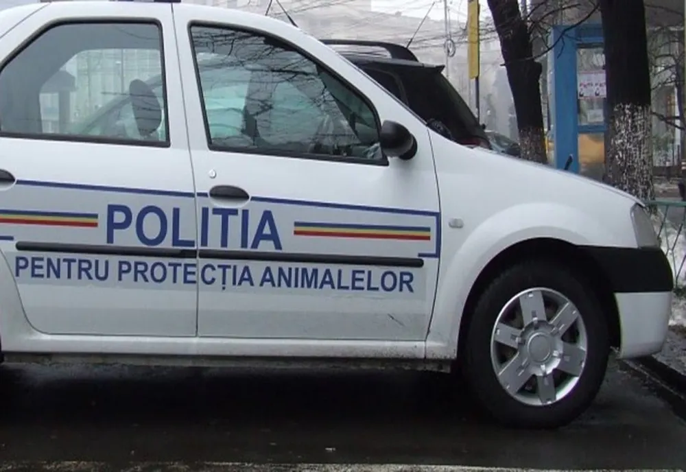 Dosar penal pentru doi tineri din Dolj, care au bătut un căţel