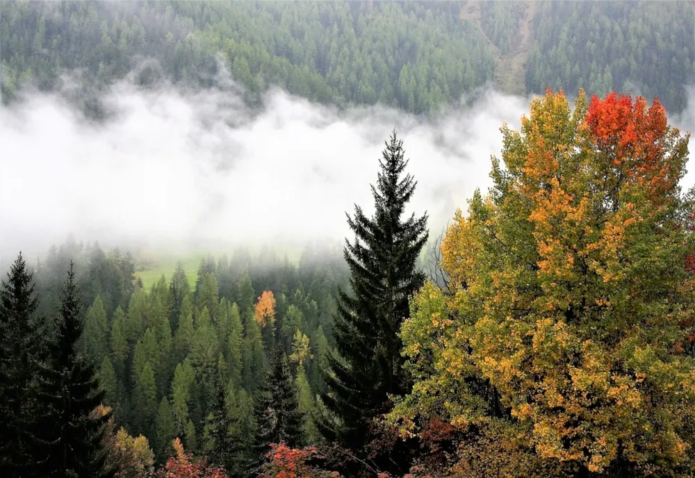Prognoza meteo - Scădere bruscă a temperaturii și ploi în mai multe regiuni din țară