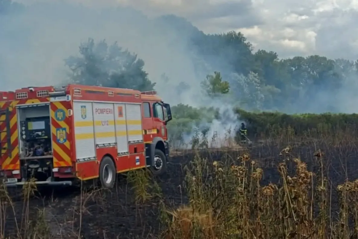 Incendiile fac ravagii în județul Dolj. Zeci de hectare de vegetație uscată și culturi agricole au fost mistuite de flăcări