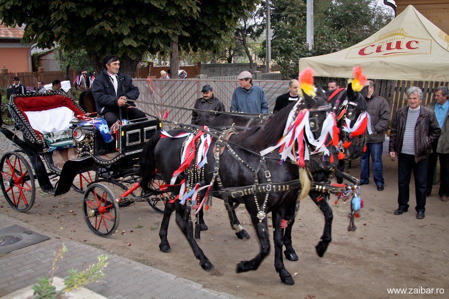 Festivalul Zaibărului şi al Prazului, la Băilești. Car alegoric, parada portului popular și concursuri culinare