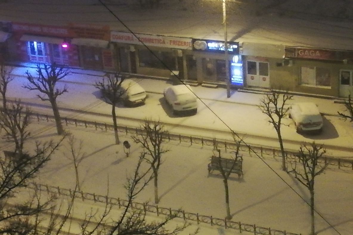 Copaci puși la pământ și drumuri impracticabile, în Dolj, din cauza zăpezii și a viscolului