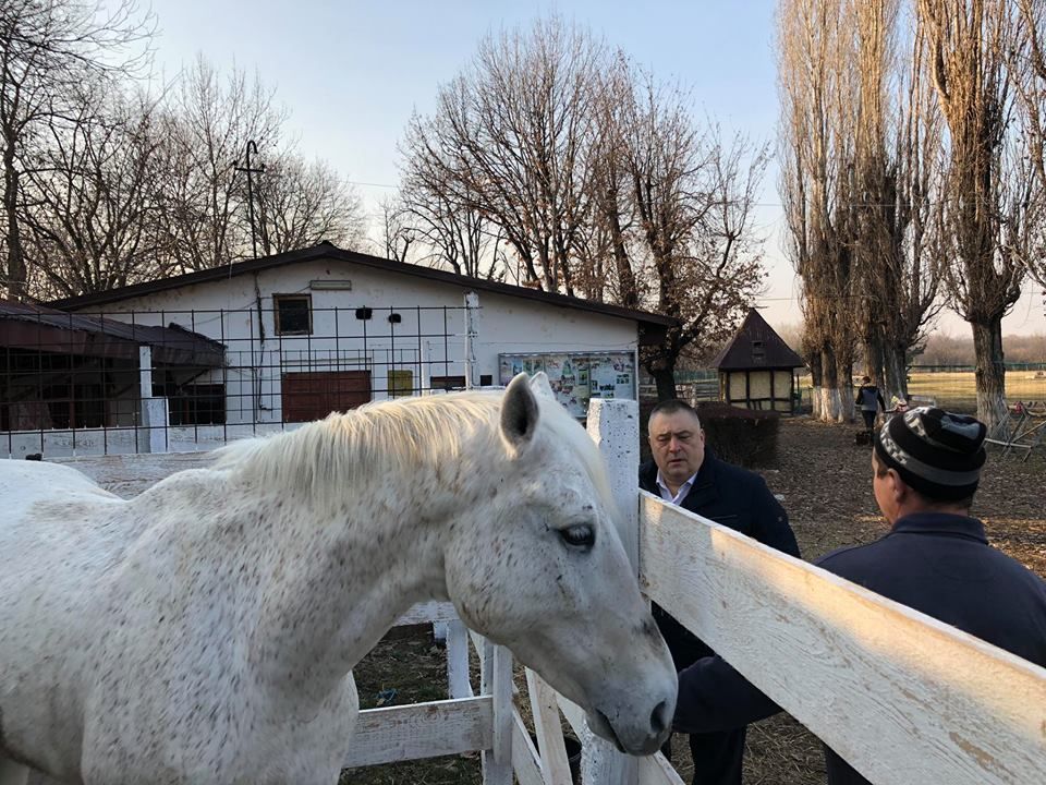 Hipodromul din Craiova redevine prioritate pentru autorități. „Am avea nevoie de multe lucruri, aici, ca să ajungem la un nivel de performanță”