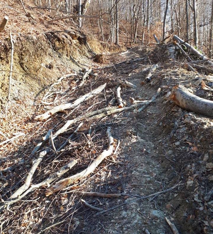 Lumea satului românesc, în fotografii pentru o delegație de profesori și elevi străini. Craiova este gazdă pentru cinci zile