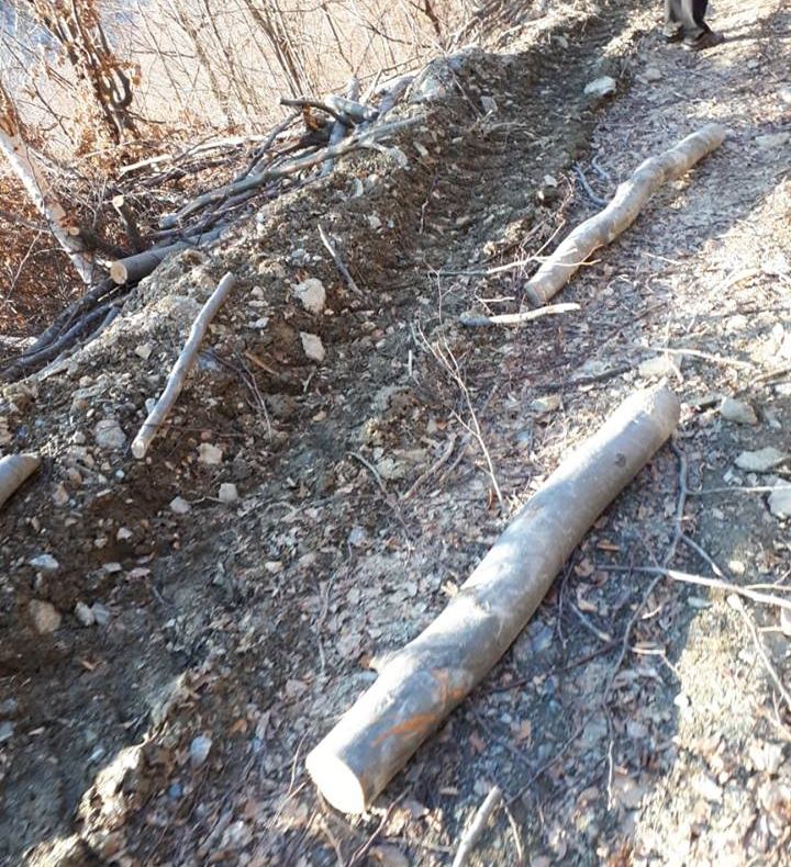 Percheziții la traficanții de țigări din Craiova și Moțăței. Trei tineri au fost reținuti - FOTO