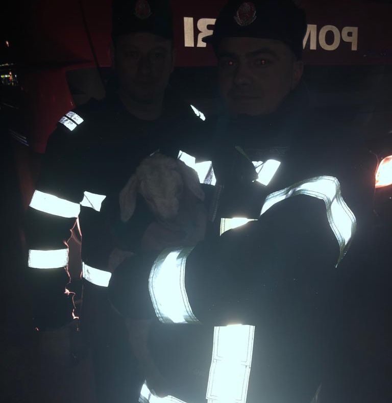 VIDEO. Un mielușel, salvat de pompierii doljeni dintr-un incendiu de vegetație uscată. Ard aproape șase hectare, lângă Calafat