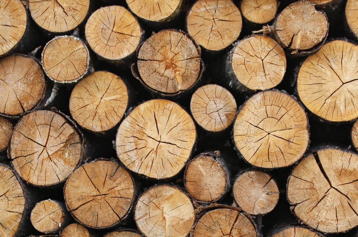 Depozit clandestin de lemne, depistat lângă comuna Leu