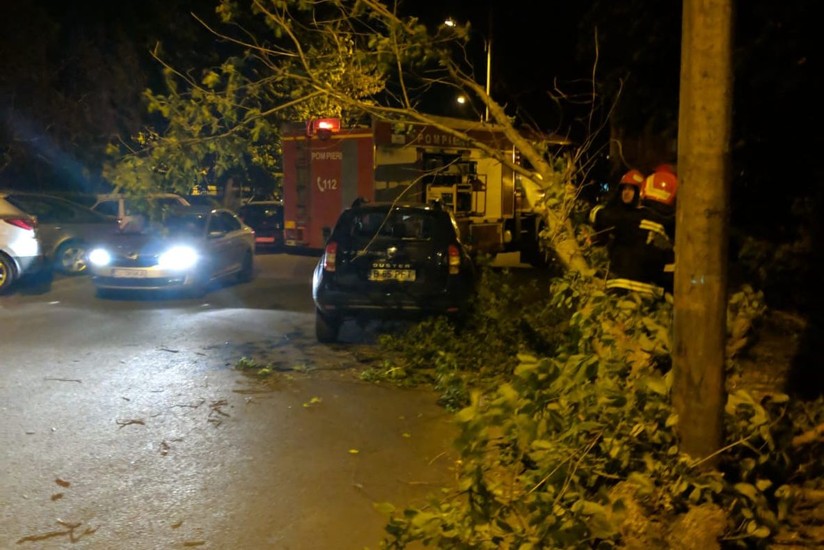 Trei mașini distruse de un copac doborât de vânt, în Craiova
