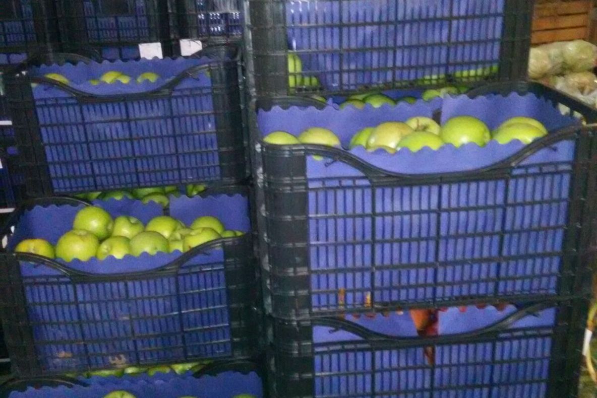 Comerțul ilegal cu legume și fructe, taxat din nou de către polițiștii doljeni