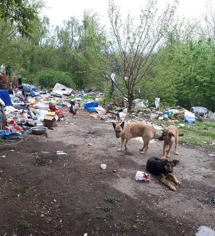 Două persoane fără adăpost trăiesc într-un focar de infecție. Reprezentanții ALDE Dolj cer primarului să rezolve situația