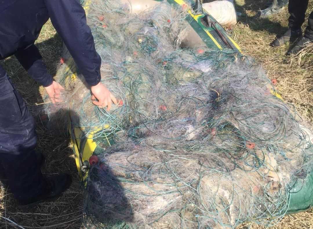 Doljeni cercetați pentru braconaj piscicol. Ce au găsit polițiștii în bazinul de la Cârna