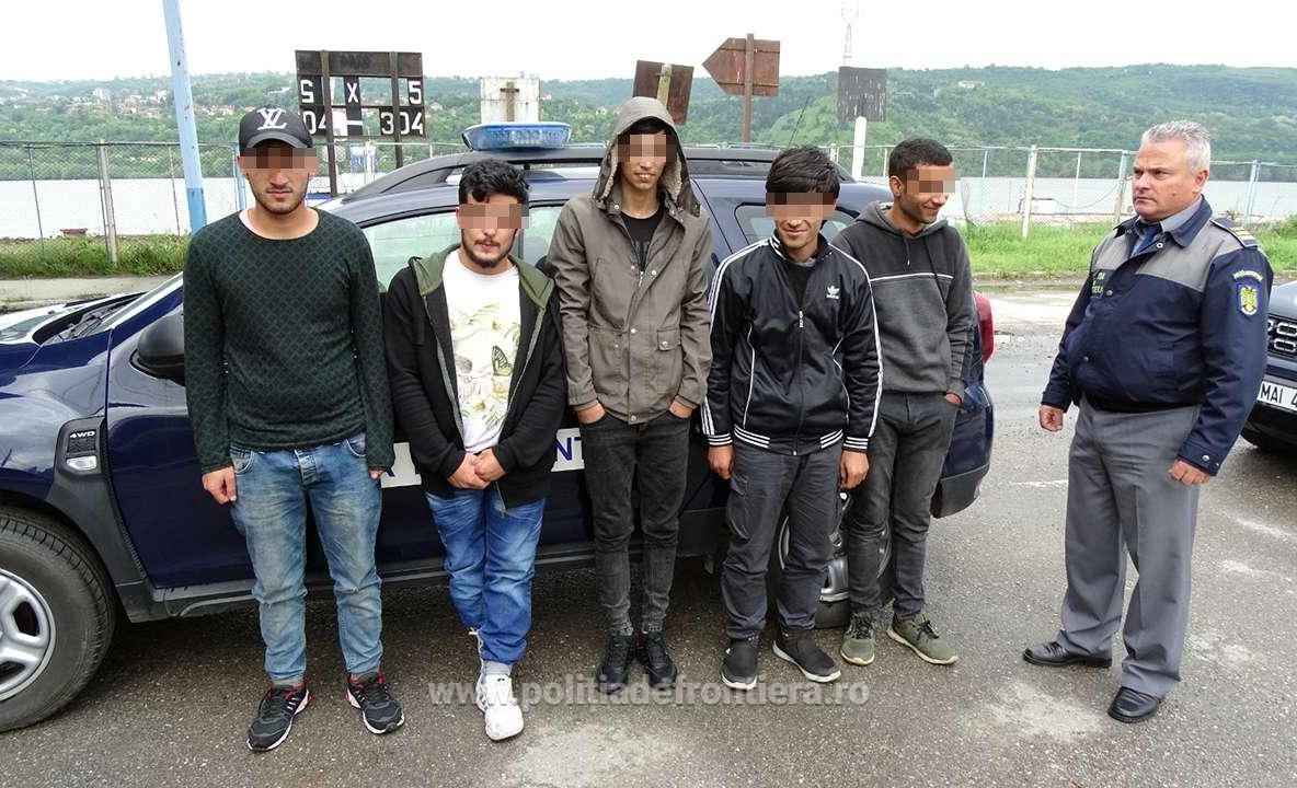 VIDEO &amp; FOTO. Patru sirieni și un irakian, găsiți la Frontiera Bechet, ascunși printre saci cu semințe de floarea soarelui