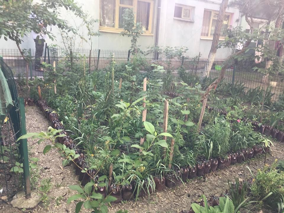 Cel mai îngrijit spațiu din fața blocului, premiat de autorități. Craiovenii pot trimite fotografii cu grădinile