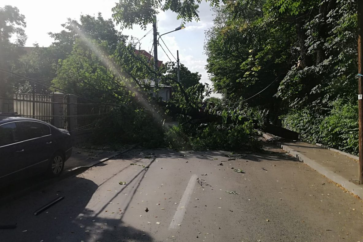 Circulația pe o stradă din Craiova, închisă din cauza unui copac doborât de vânt