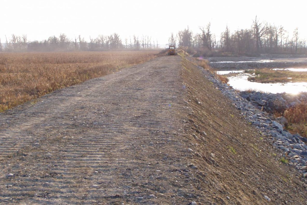 Deratizarea digurilor, în județul Dolj. PĂȘUNATUL INTERZIS!