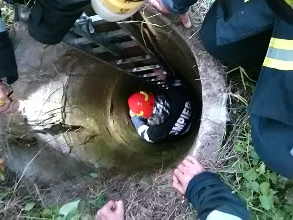 Un bărbat din Dolj şi-a aruncat mama în fântână.  Femeia a scăpat cu viaţă