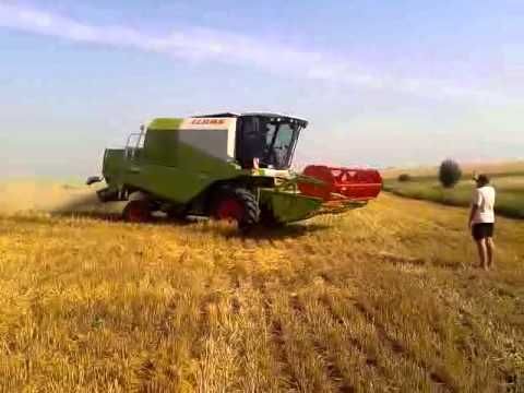 Recoltarea grâului a luat startul în Dolj