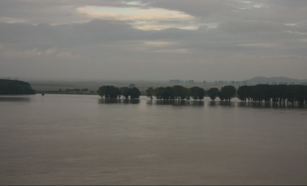 Autoritățile din Dolj, în alertă din cauza debitului Dunării