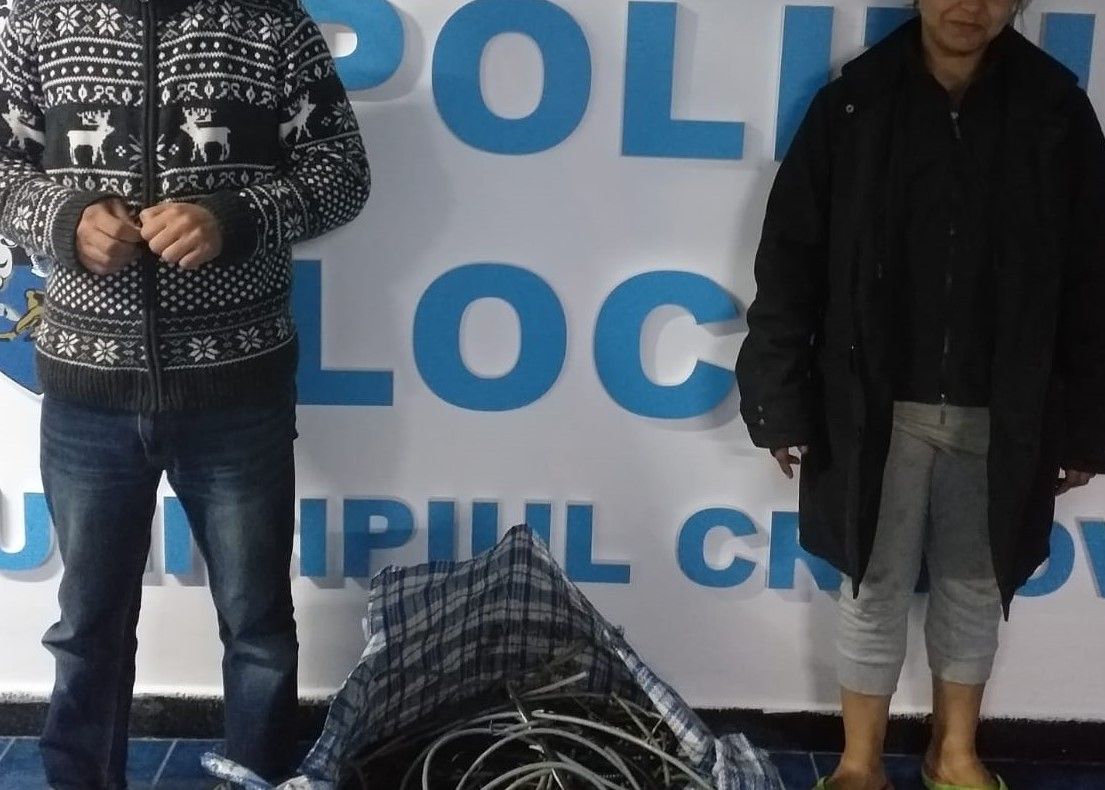 Tineri din Craiova prinși la furat de cabluri electrice de pe șantierul „Podului suspendat” din Parcul Romanescu