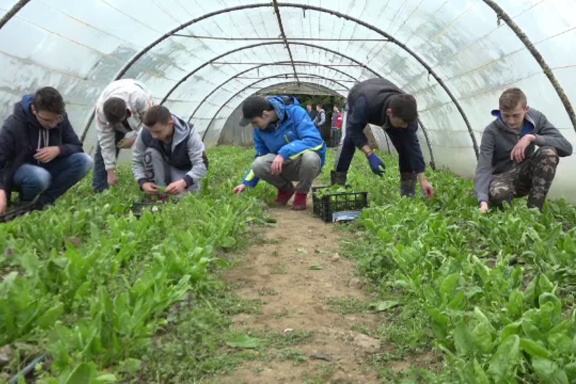 Ministerul Agriculturii are în plan susținerea financiară a liceelor agricole