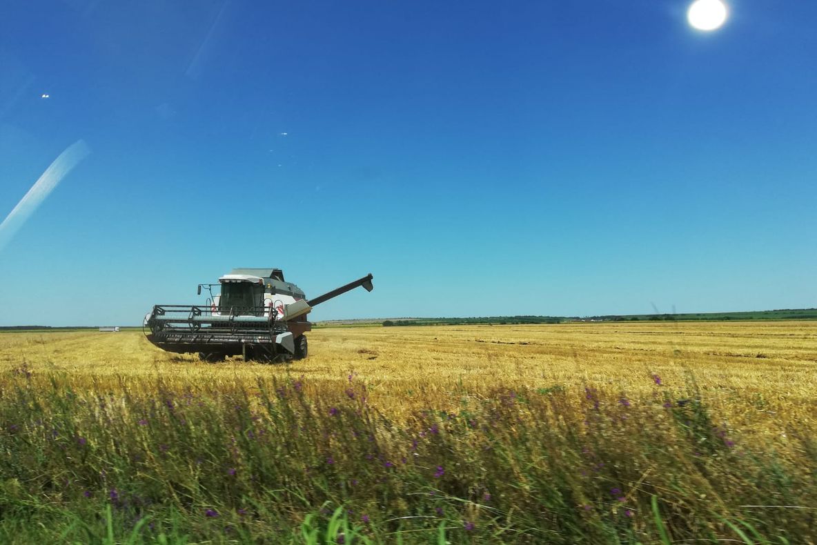 Risc de incendii de vegetație uscată în perioada recoltării cerealelor. Pompierii doljeni au transmis o serie de reguli