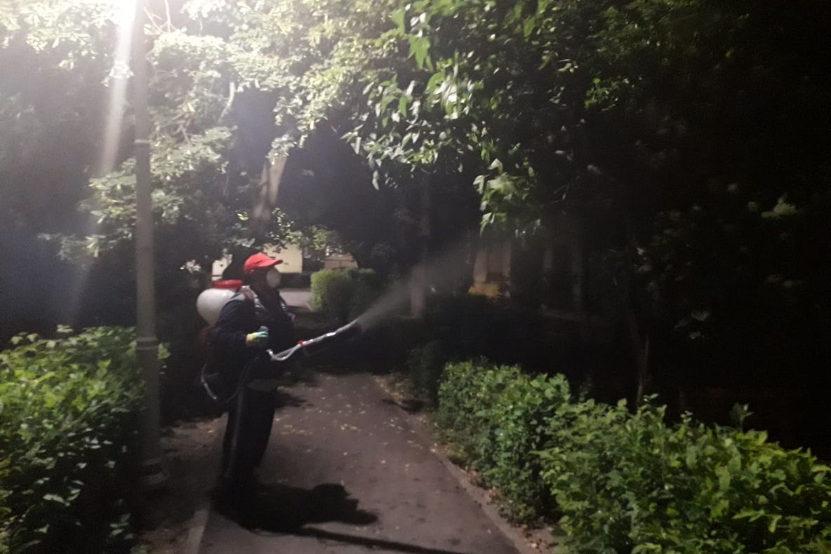 Autorităţile din Craiova intensifică lupta cu ţânţarii. Noi etape de intervenție, în perioada 11-21 iulie
