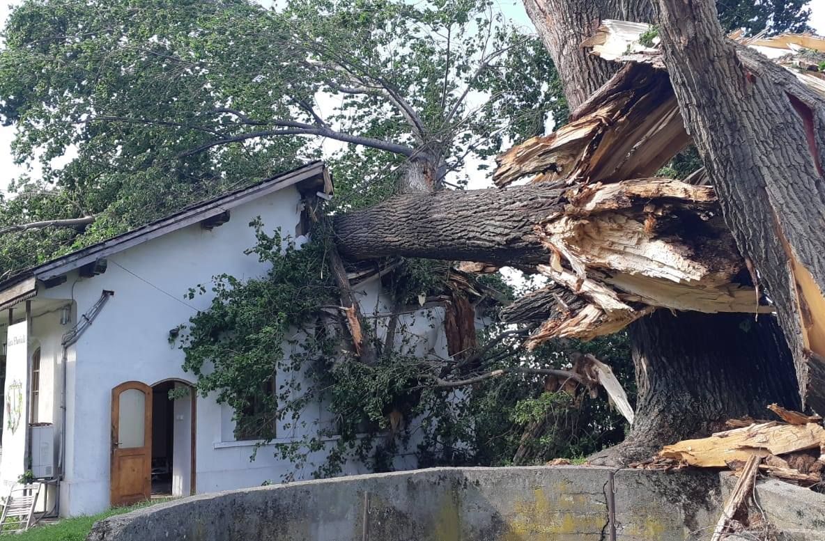 "Divan Film Festival", anulat din cauza furtunii de noaptea trecută care a distrus Gara Fluvială din Cetate