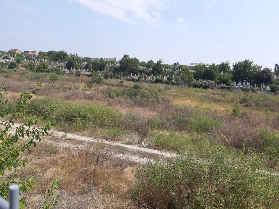 Parcul Cornițoiu din Craiova devine Dracula Park. Studiul de fezabilitate, finalizat