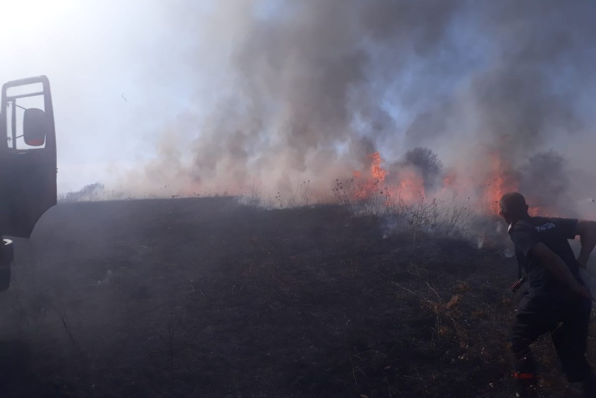 Incendiu puternic de vegetație uscată, la Craiova. VIDEO