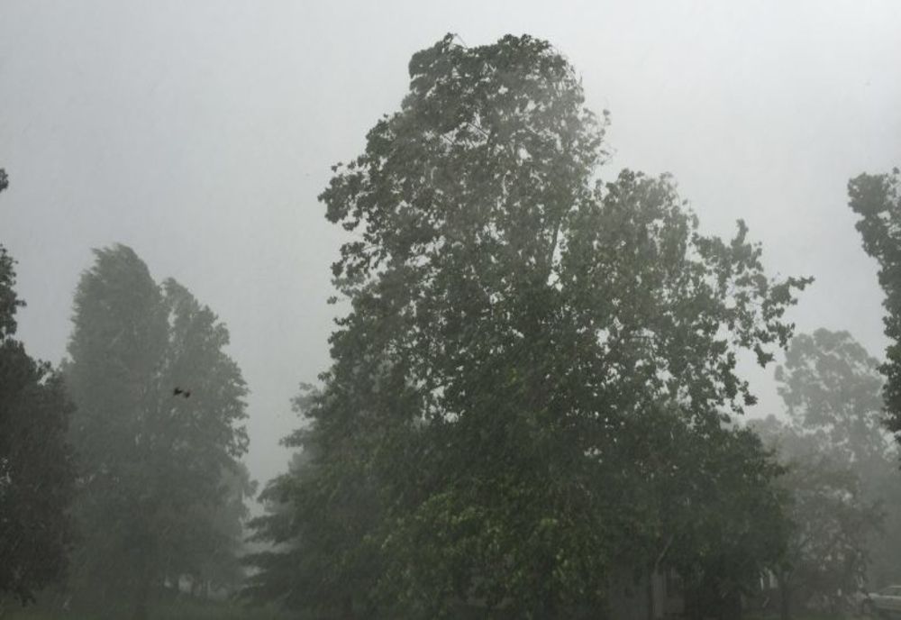 Cod galben de vânt puternic în județul Dolj