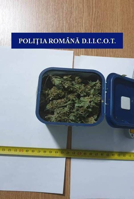 Bărbat din Caracal arestat preventiv pentru trafic de droguri. Le primea din străinătate