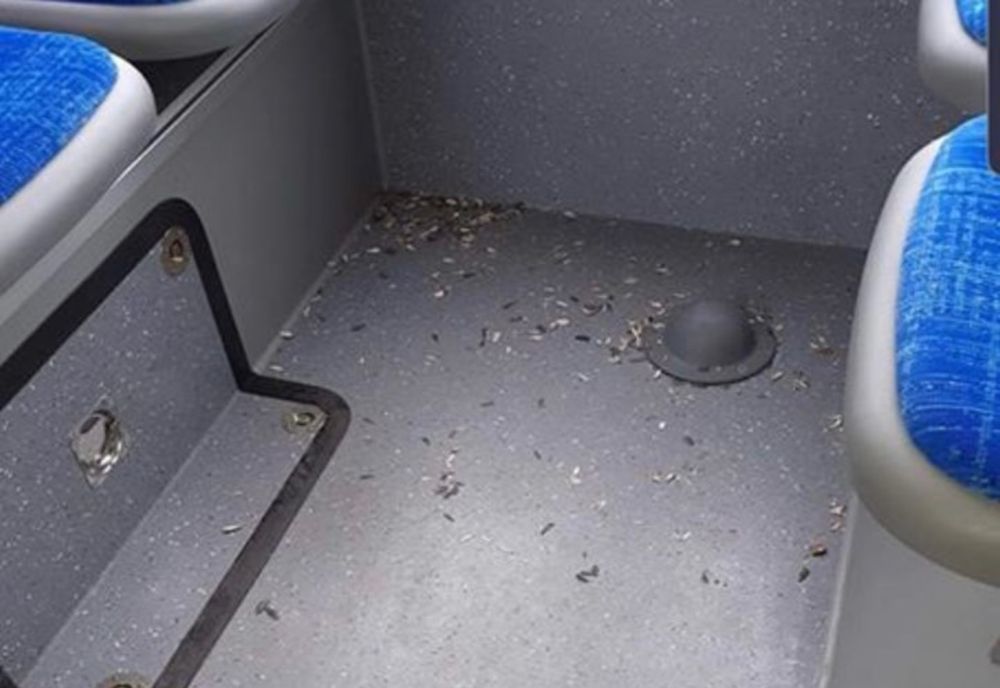 Călătorii RAT Craiova și-au pus amprenta asupra autobuzelor noi. Coji de semințe după primele două curse