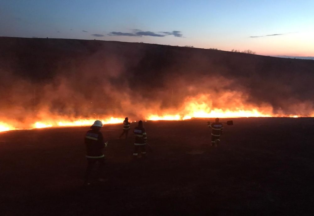 Inconștiență. Patru hectare de vegetație uscată cuprinse de flăcări, în Dolj 
